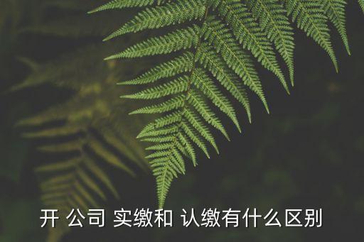 注冊公司認(rèn)繳和實繳,公司注冊資金認(rèn)繳和實繳區(qū)別