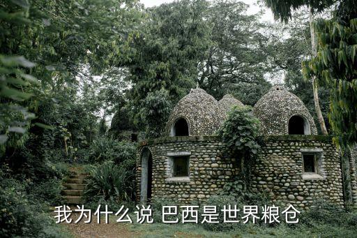 我為什么說(shuō) 巴西是世界糧倉(cāng)
