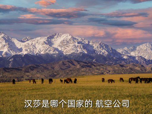  漢莎是哪個(gè)國家的 航空公司