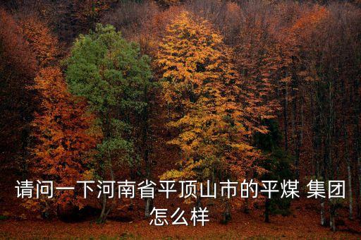 請問一下河南省平頂山市的平煤 集團(tuán)怎么樣