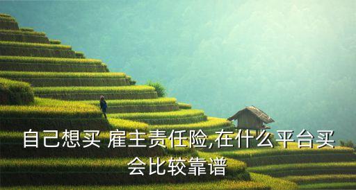 自己想買(mǎi) 雇主責(zé)任險(xiǎn),在什么平臺(tái)買(mǎi)會(huì)比較靠譜