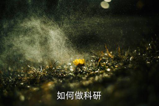 上?？苿?chuàng)杯