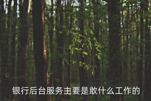  銀行后臺服務(wù)主要是敢什么工作的