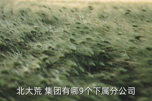 北大荒 集團(tuán)有哪9個下屬分公司