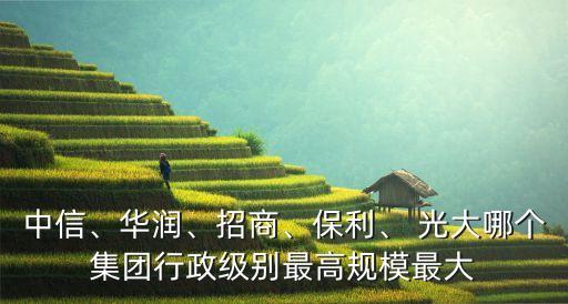 中信、華潤、招商、保利、 光大哪個集團(tuán)行政級別最高規(guī)模最大