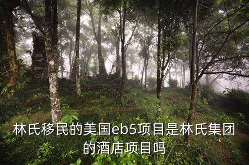 林氏移民的美國eb5項目是林氏集團(tuán)的酒店項目嗎