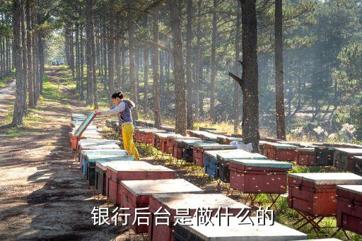  銀行后臺是做什么的