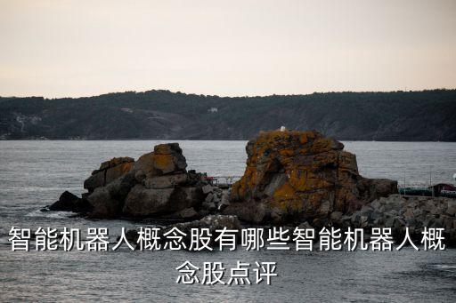 智能機(jī)器人概念股有哪些智能機(jī)器人概念股點(diǎn)評(píng)