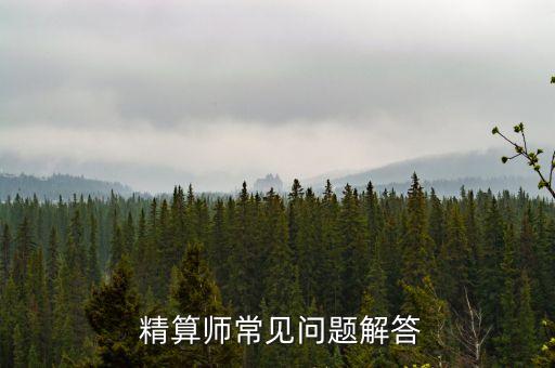  精算師常見問(wèn)題解答