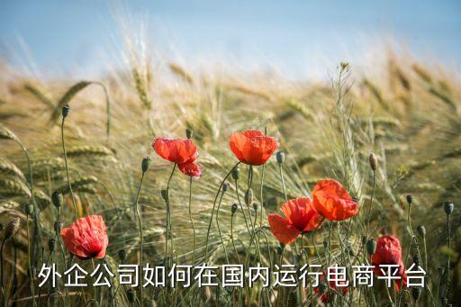  外企公司如何在國內(nèi)運行電商平臺