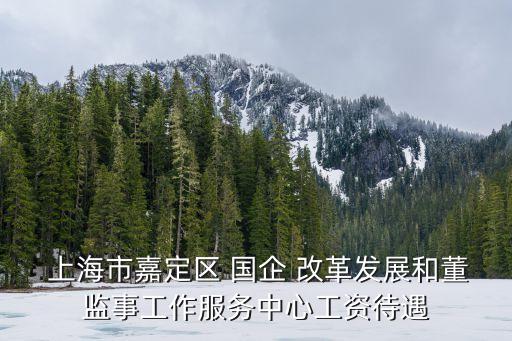  上海市嘉定區(qū) 國企 改革發(fā)展和董監(jiān)事工作服務(wù)中心工資待遇