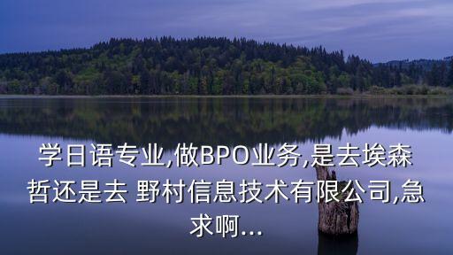 學日語專業(yè),做BPO業(yè)務,是去埃森哲還是去 野村信息技術有限公司,急求啊...