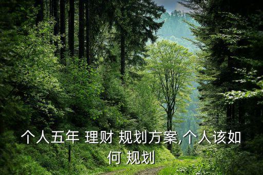 個人五年 理財 規(guī)劃方案,個人該如何 規(guī)劃