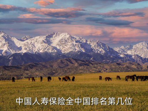 中國人壽保險(xiǎn)全中國排名第幾位