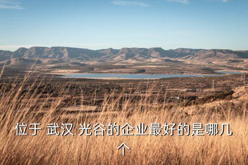 位于 武漢 光谷的企業(yè)最好的是哪幾個(gè)