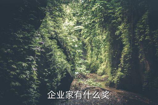 企業(yè)家有什么獎