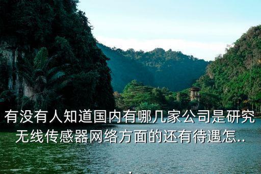 有沒有人知道國內(nèi)有哪幾家公司是研究無線傳感器網(wǎng)絡方面的還有待遇怎...