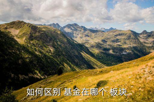 怎么查基金板塊,基金板塊分類(lèi)有哪些