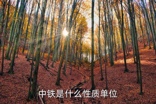 中鐵是什么性質單位