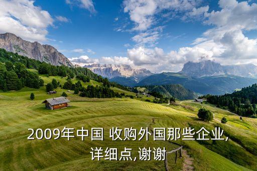 2009年中國 收購?fù)鈬切┢髽I(yè),詳細(xì)點(diǎn),謝謝