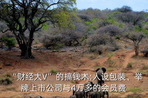 “財(cái)經(jīng)大V”的搞錢術(shù):人設(shè)包裝、舉牌上市公司與4萬多的會員費(fèi)