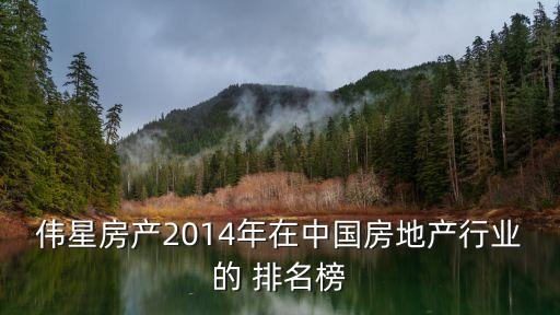 偉星房產2014年在中國房地產行業(yè)的 排名榜