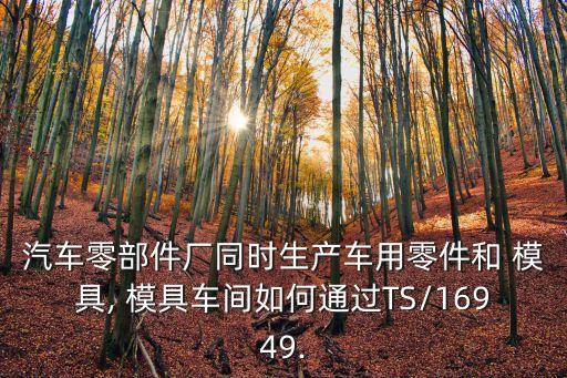 汽車零部件廠同時生產車用零件和 模具, 模具車間如何通過TS/16949.