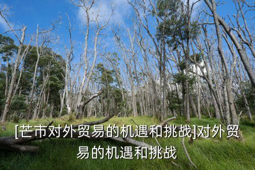 [芒市對外貿(mào)易的機遇和挑戰(zhàn)]對外貿(mào)易的機遇和挑戰(zhàn)