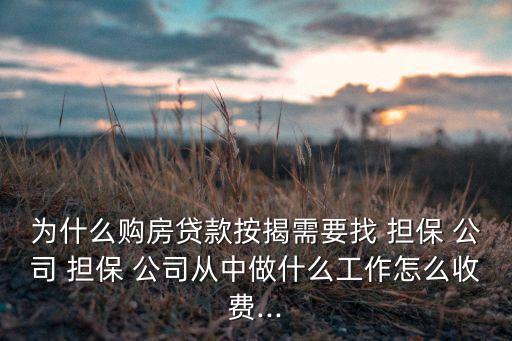 為什么購房貸款按揭需要找 擔保 公司 擔保 公司從中做什么工作怎么收費...