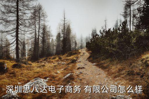 深圳思八達電子商務(wù) 有限公司怎么樣