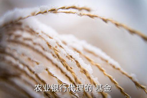 農業(yè)銀行代理的 基金