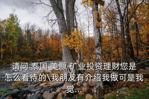 請(qǐng)問(wèn) 泰國(guó) 美源 礦業(yè)投資理財(cái)您是怎么看待的\我朋友有介紹我做可是我覺(jué)...