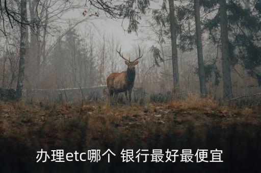 辦理etc哪個 銀行最好最便宜