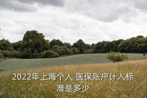 2022年上海個人 醫(yī)保賬戶計(jì)入標(biāo)準(zhǔn)是多少