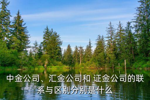 中金公司、匯金公司和 證金公司的聯(lián)系與區(qū)別分別是什么