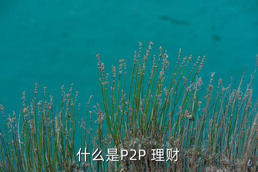 p2p貨幣投資理財,數(shù)字貨幣能投資理財嗎