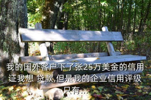 我的國外客戶下了張25萬美金的信用證我想 貸款,但是我的企業(yè)信用評(píng)級(jí)只有...