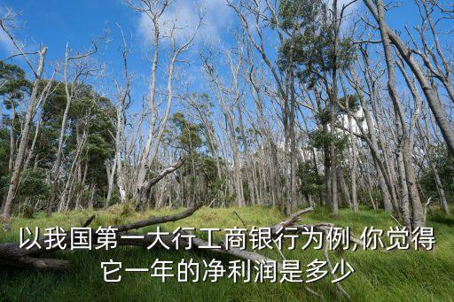 以我國(guó)第一大行工商銀行為例,你覺得它一年的凈利潤(rùn)是多少