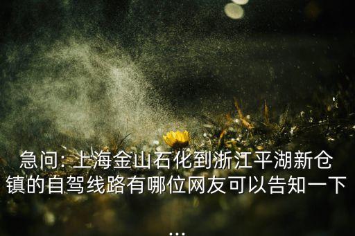 急問: 上海金山石化到浙江平湖新倉(cāng)鎮(zhèn)的自駕線路有哪位網(wǎng)友可以告知一下...