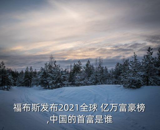 中國(guó)出現(xiàn)億萬(wàn)富翁,2021中國(guó)億萬(wàn)富翁