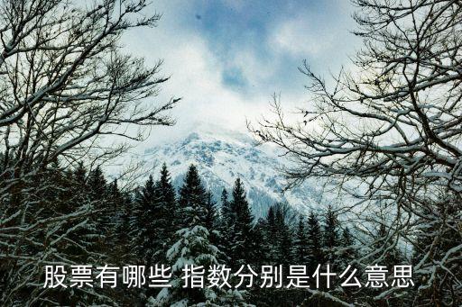 股票有哪些 指數分別是什么意思