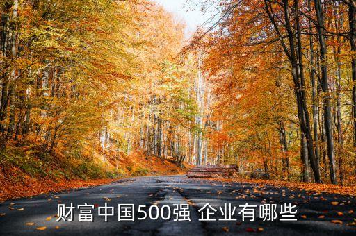 財富中國500強(qiáng) 企業(yè)有哪些