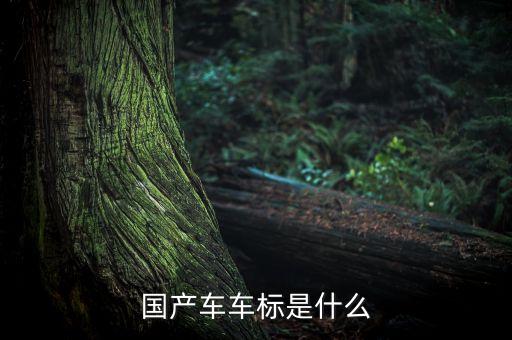 國產車車標是什么