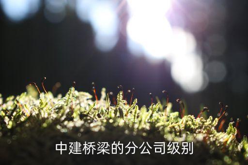 中建橋梁的分公司級別