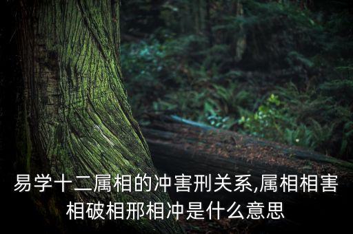 易學十二屬相的沖害刑關系,屬相相害相破相邢相沖是什么意思