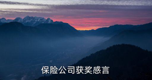 保險(xiǎn)公司獲獎(jiǎng)感言