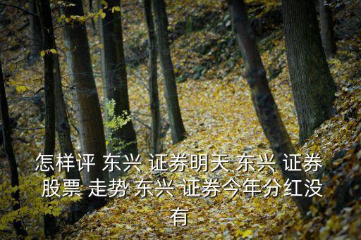 怎樣評(píng) 東興 證券明天 東興 證券 股票 走勢(shì) 東興 證券今年分紅沒有