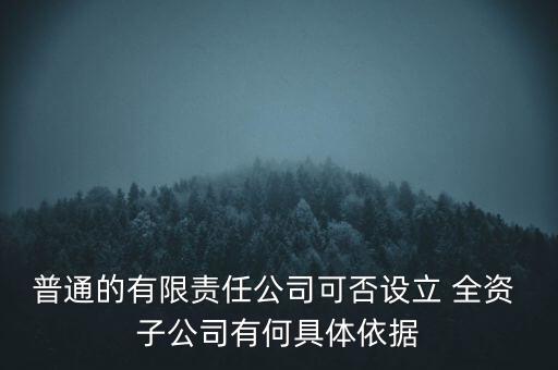沒有單獨人事權(quán)的全資子公司