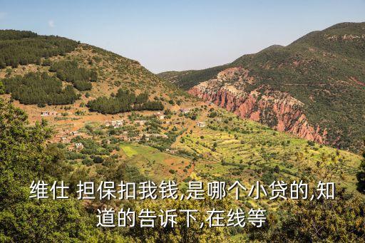 維仕 擔(dān)保扣我錢,是哪個小貸的,知道的告訴下,在線等