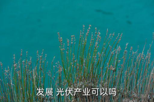 發(fā)展 光伏產業(yè)可以嗎